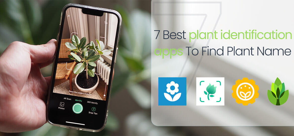 7 best plant identifier apps