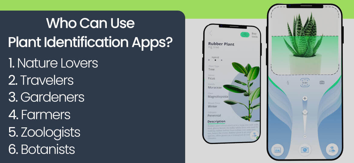 Who Can Use Plant Identification Apps