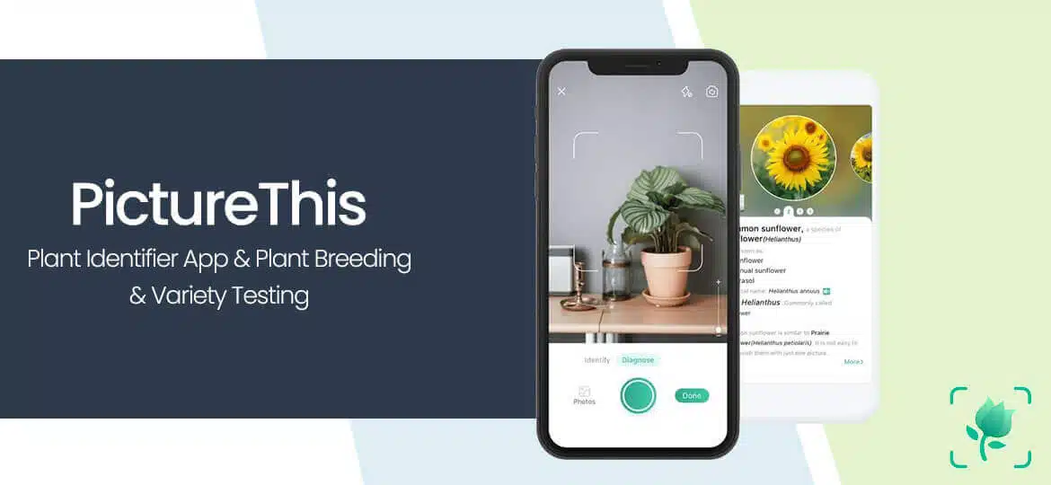 Plant Identification Apps For iOS and Android (Updated 2023)