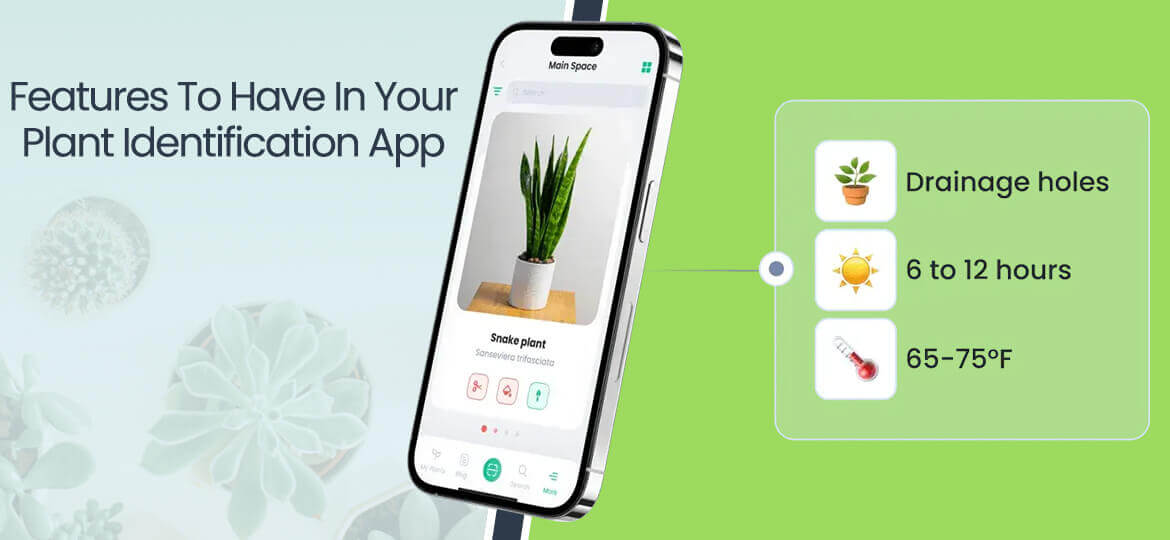 plant identification app features