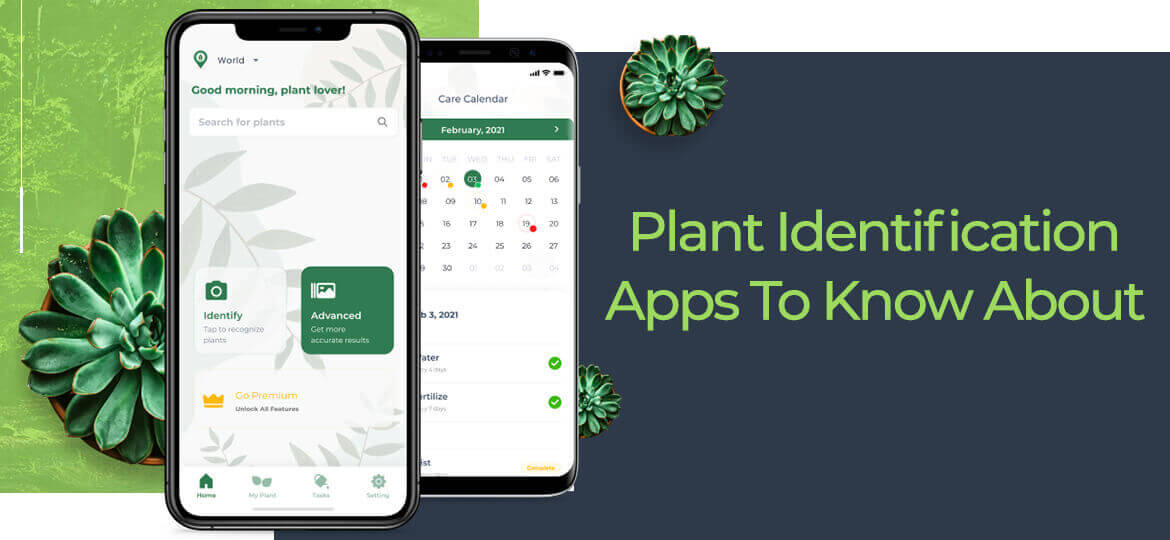 plant identification apps to know about thegem blog default (1)