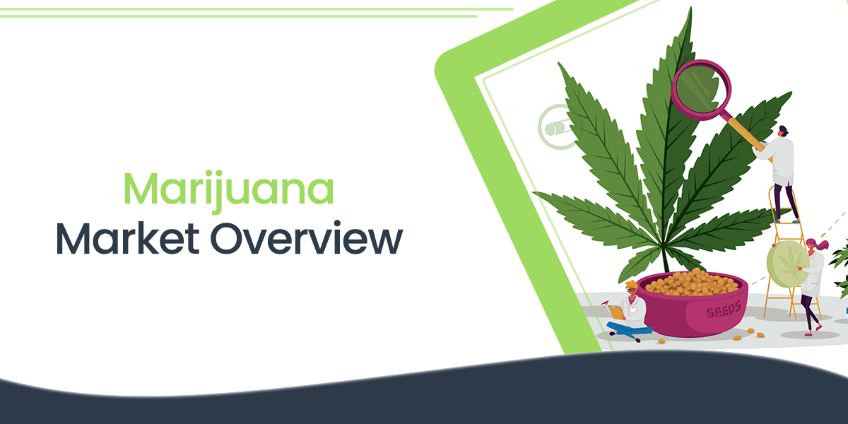Marijuana Market Overview